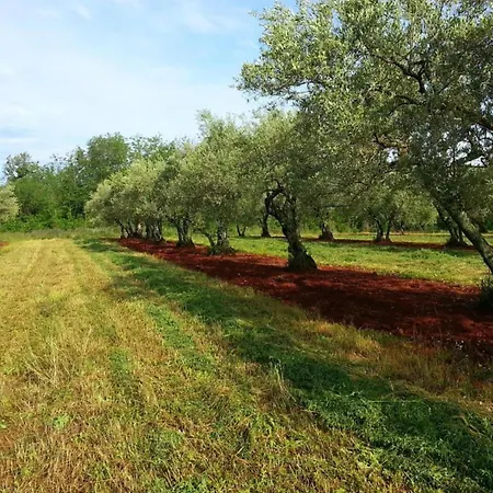 Peaceful Getaway In With Garden * Polje (Krk)