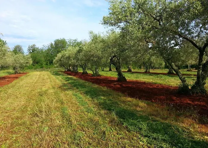 Peaceful Getaway In With Garden * Polje (Krk)